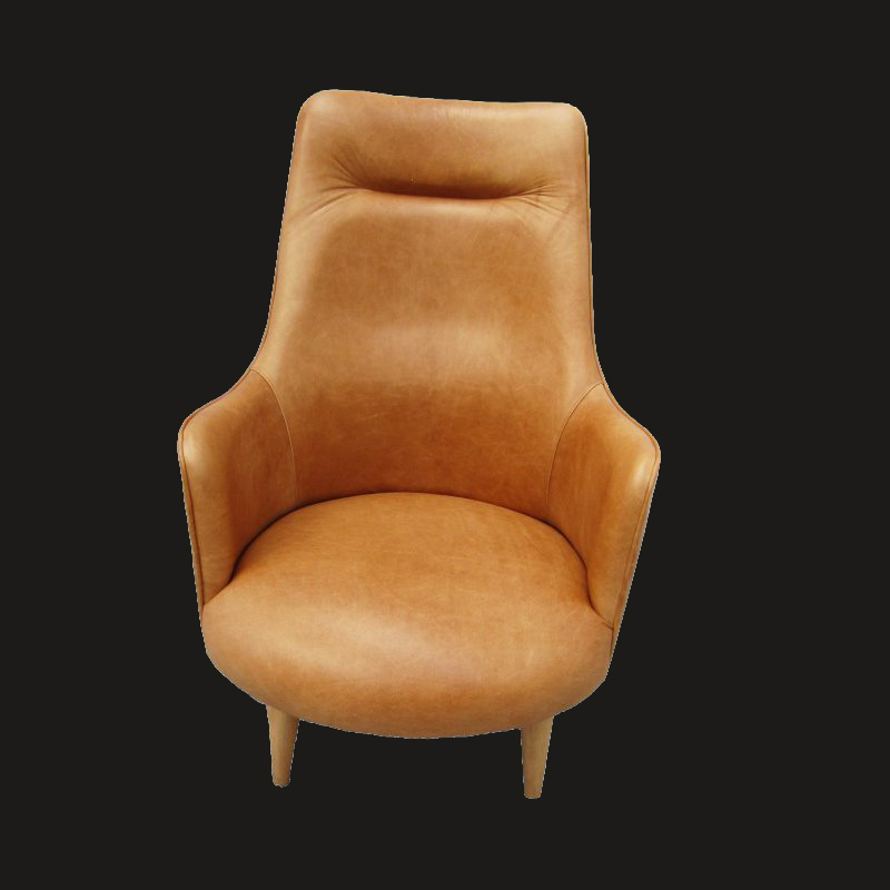 Leather Vega Lounge chair - Image 7
